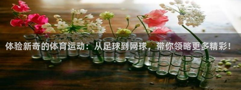 oety欧亿体育官网下载平台假的吗是真的吗吗:体验新奇的体育